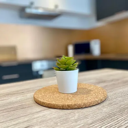 Appartement Bel T2 De 50 M2, Spacieux Et Lumineux - 009