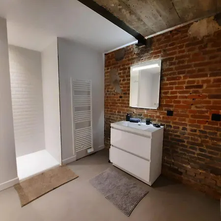 Bel T2 De 50 M2, Spacieux Et Lumineux - 009 *